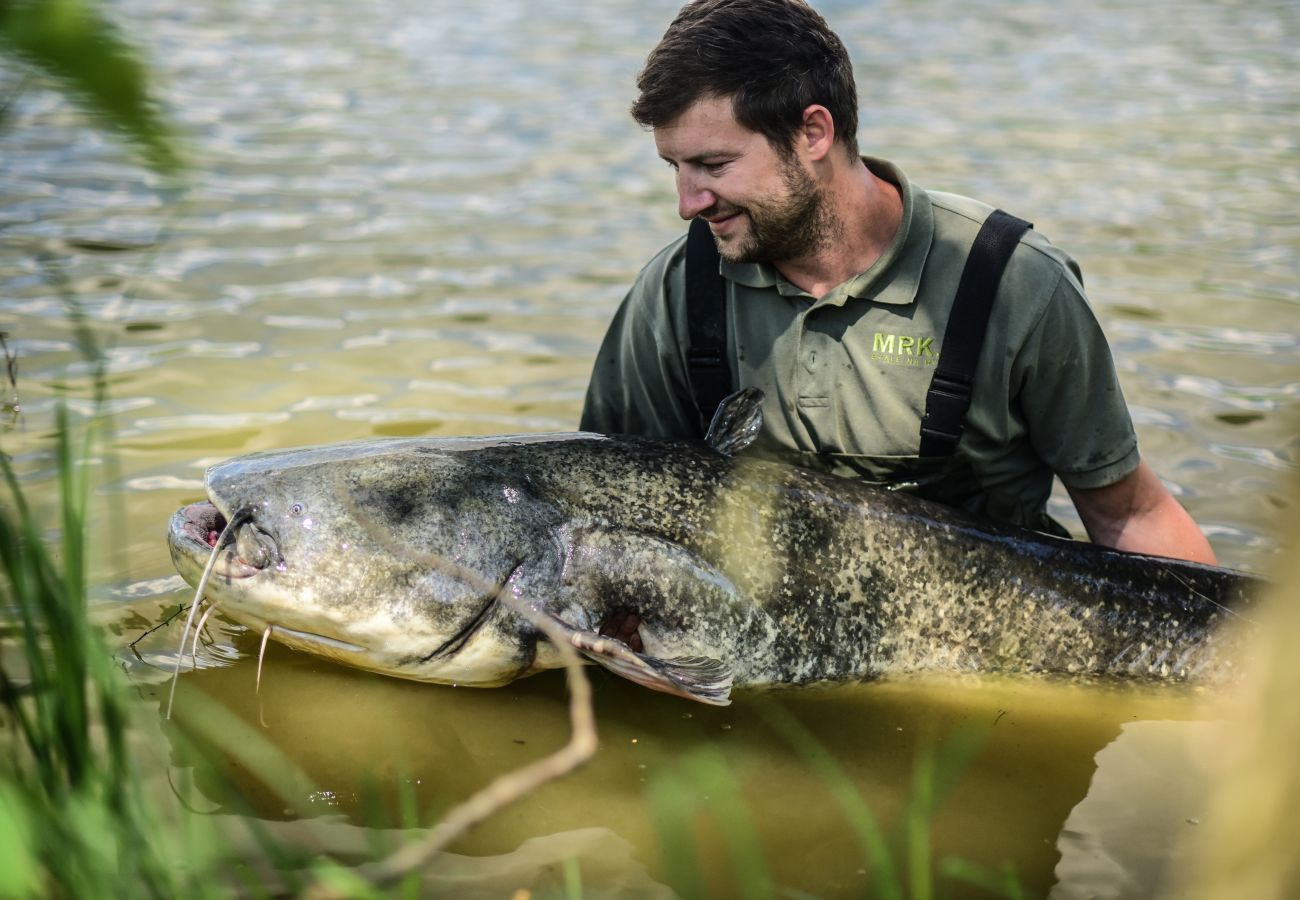 Villa in Cervené Janovice - SCKV023-KA