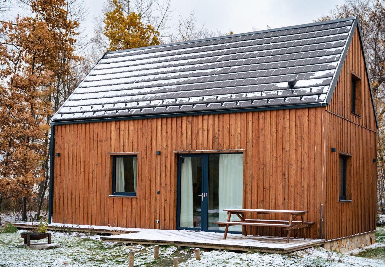 Villa in Cervené Janovice - SCKV023-KA