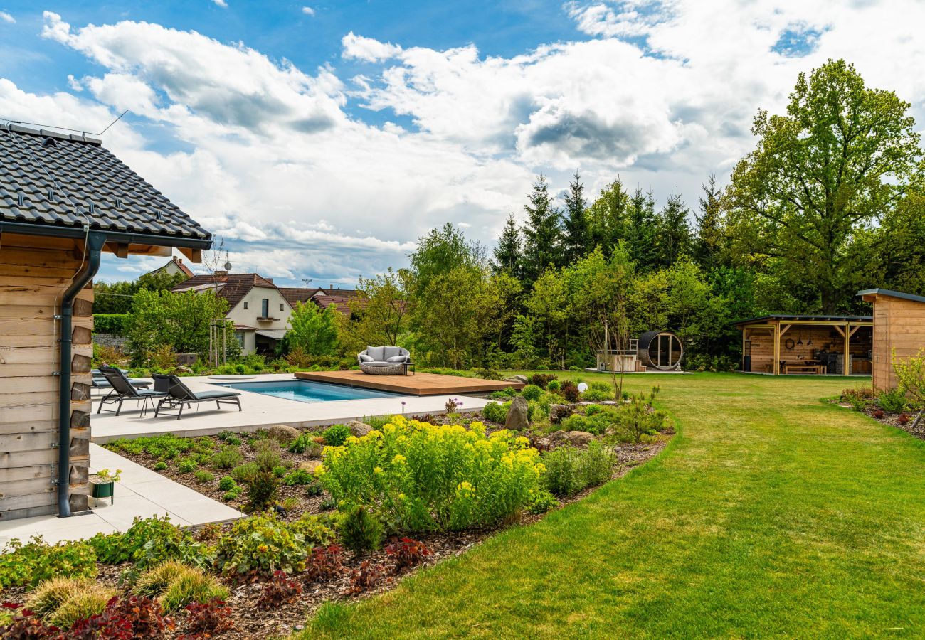 Villa in Smetanova Lhota - JSP029