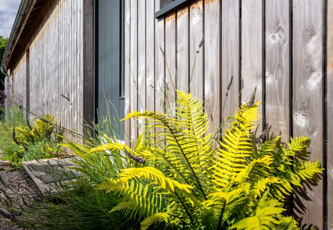 House in Shaldon - Sunnybrook - Carbon Neutral, Woodfired Hottub, near beach House in Shaldon - Sunnybrook - Carbon Neutral, Woodfired Hottub, near beach