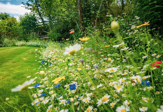Cottage in Chagford - Weeke Brook - A 'quintessential' thatched cottage Cottage in Chagford - Weeke Brook - A 'quintessential' thatched cottage