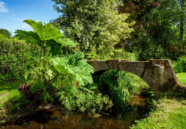 Cottage in Chagford - Weeke Brook - A 'quintessential' thatched cottage Cottage in Chagford - Weeke Brook - A 'quintessential' thatched cottage
