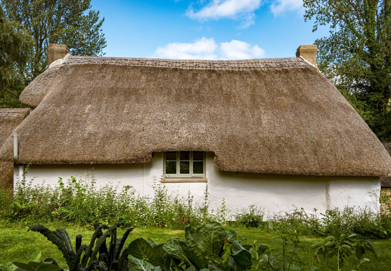 Cottage in Chagford - Weeke Brook - A 'quintessential' thatched cottage