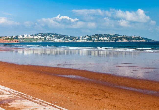 House in Paignton - The Spinney - Large home with hot tub, gym, amazing sea views House in Paignton - The Spinney - Large home with hot tub, gym, amazing sea views