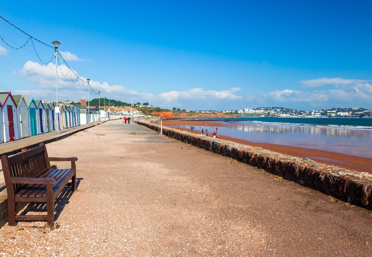 House in Paignton - The Spinney - Large home, gym, amazing sea views