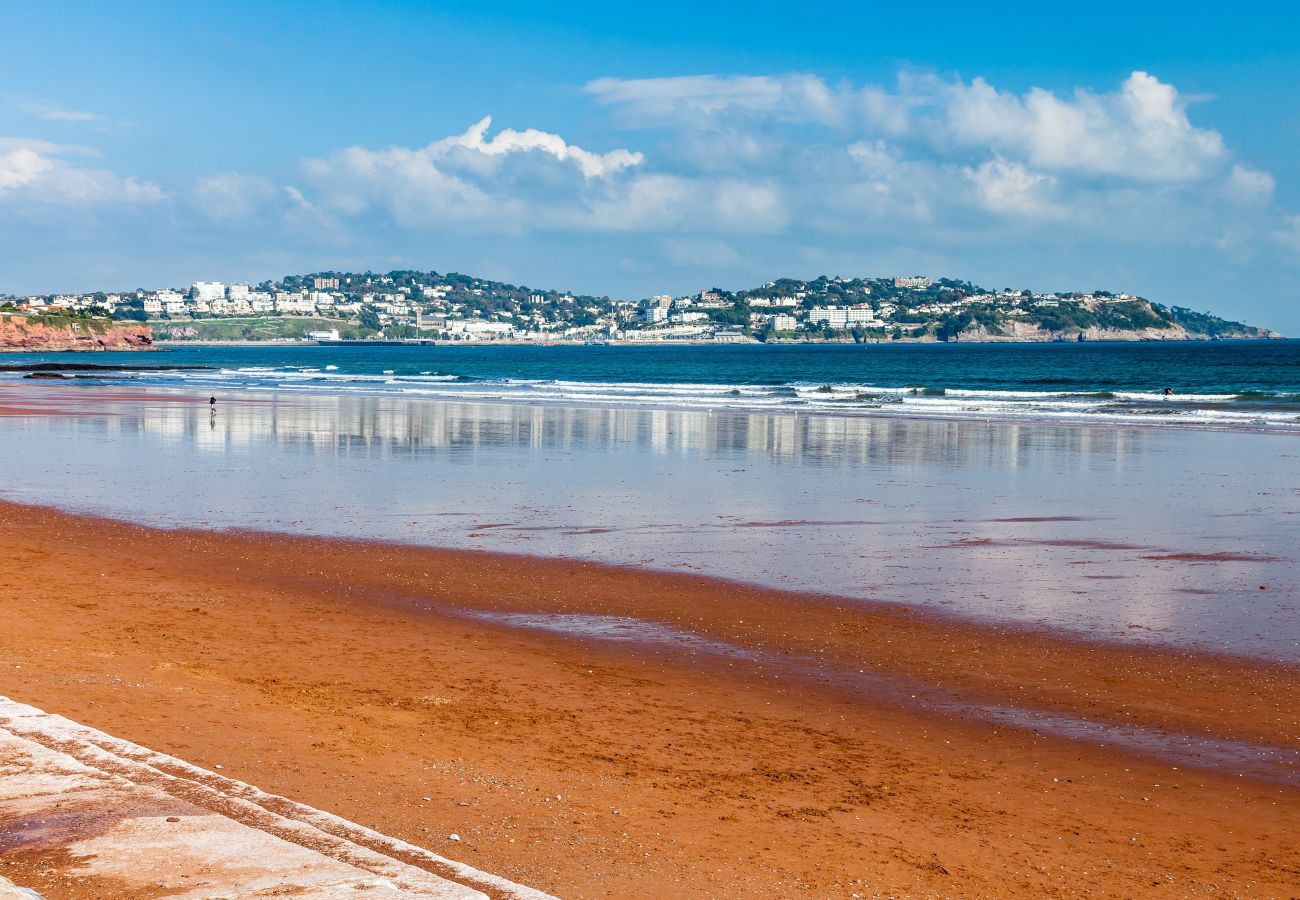 House in Paignton - The Spinney - Large home, gym, amazing sea views