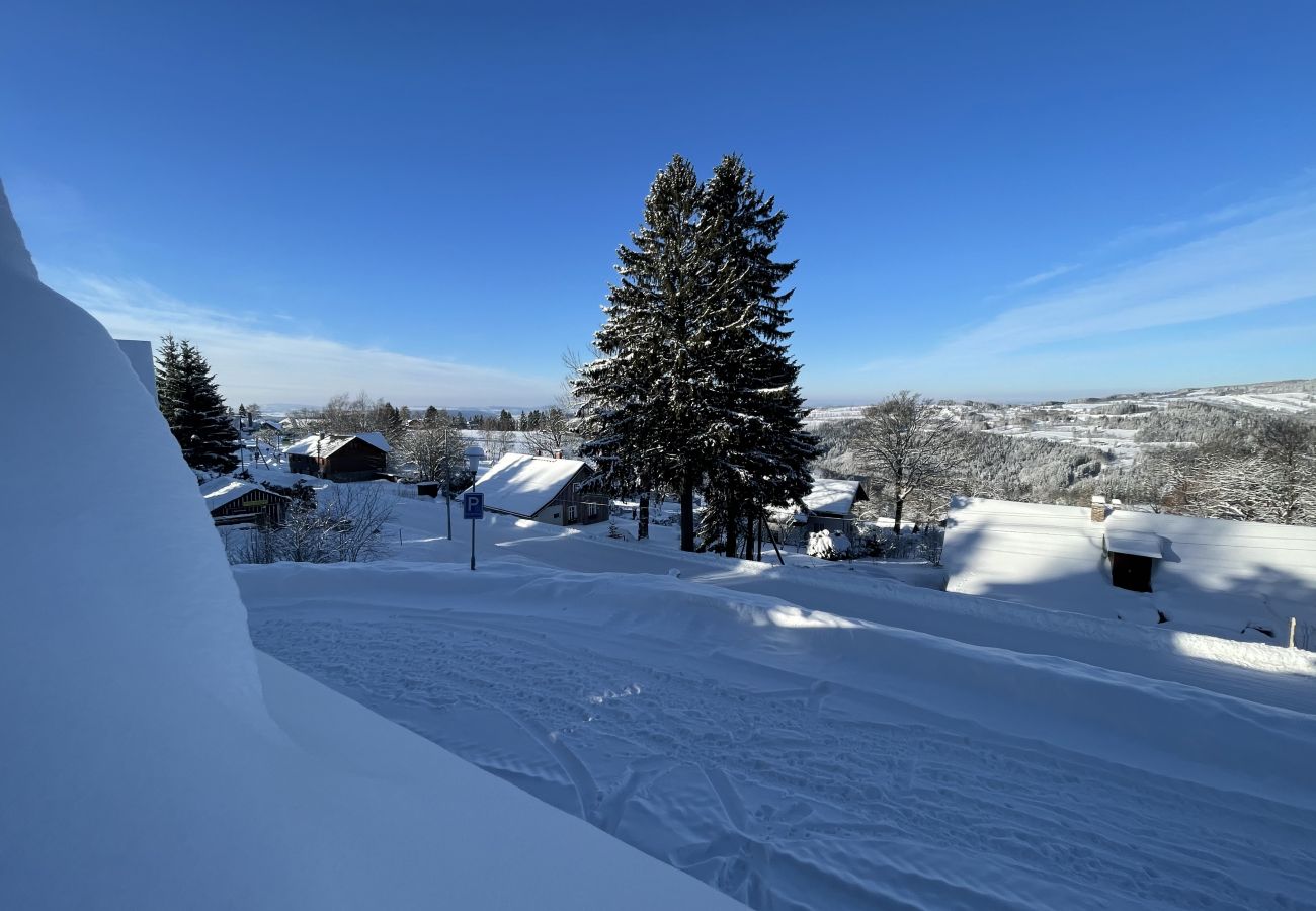 Villa in Benecko - LBS160