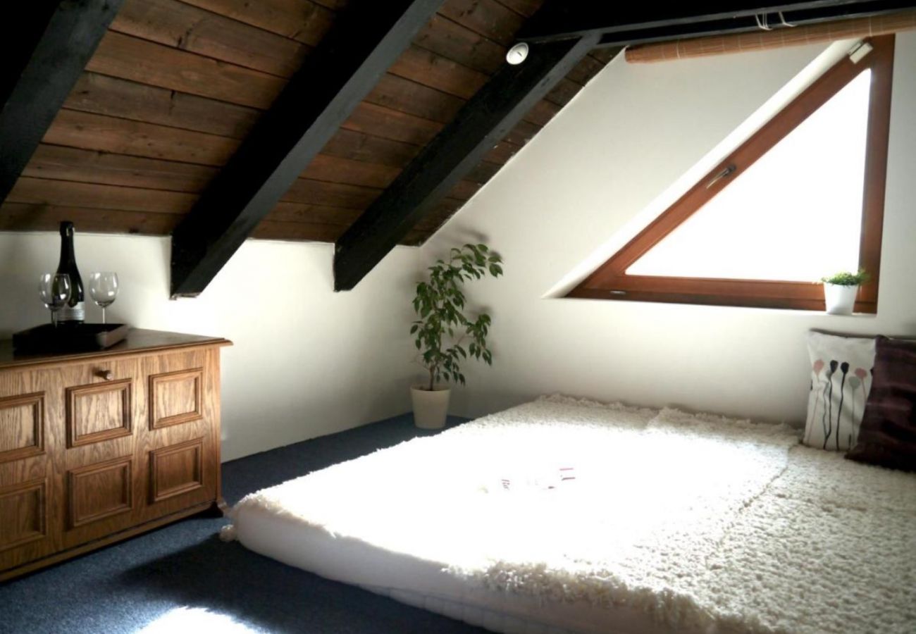 Villa in Benecko - LBS160