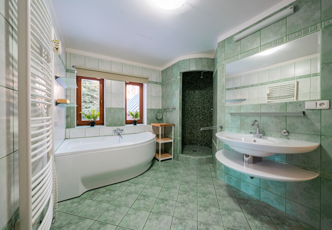 Villa in Benecko - LBS160