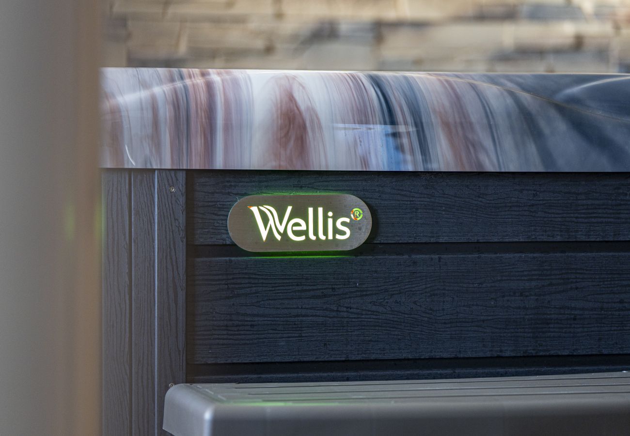 Villa in Dolní Podluží - NDW445 