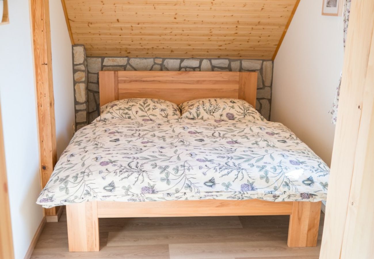 Villa in Dolní Podluží - NDW445 