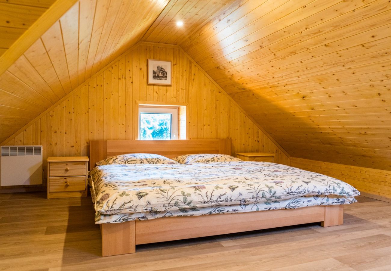 Villa in Dolní Podluží - NDW445 