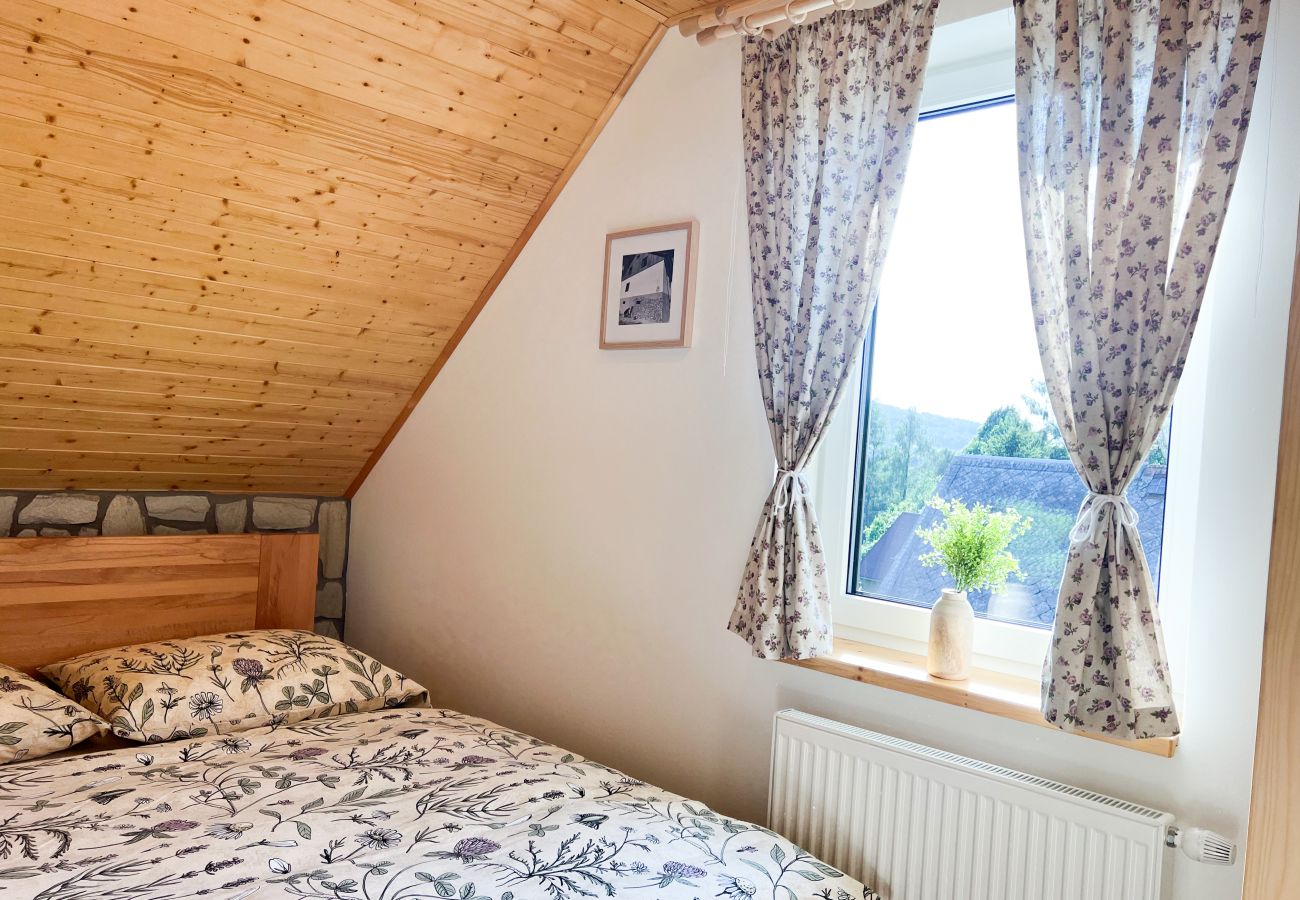 Villa in Dolní Podluží - NDW445 