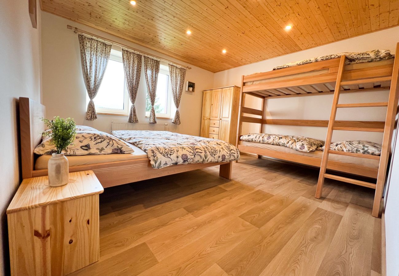 Villa in Dolní Podluží - NDW445 