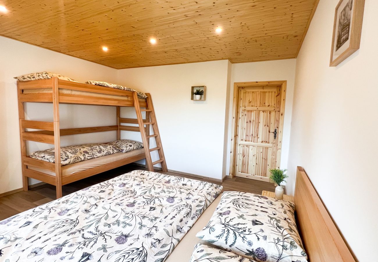 Villa in Dolní Podluží - NDW445 