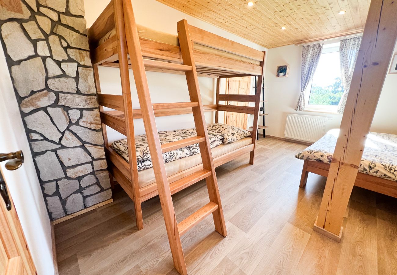 Villa in Dolní Podluží - NDW445 