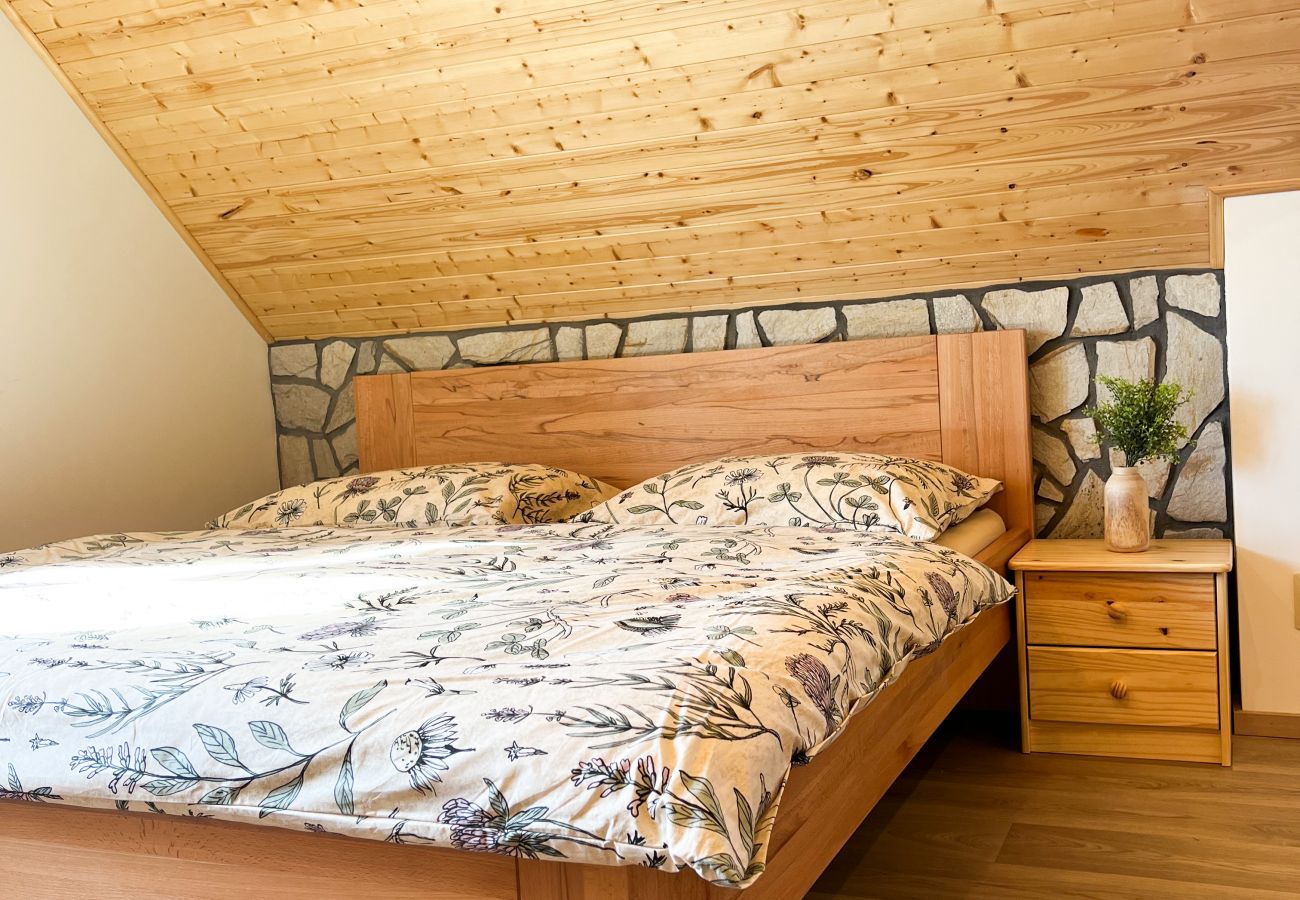 Villa in Dolní Podluží - NDW445 