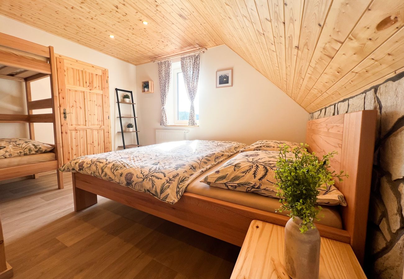 Villa in Dolní Podluží - NDW445 