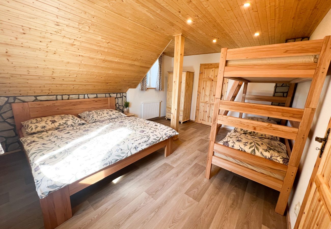 Villa in Dolní Podluží - NDW445 