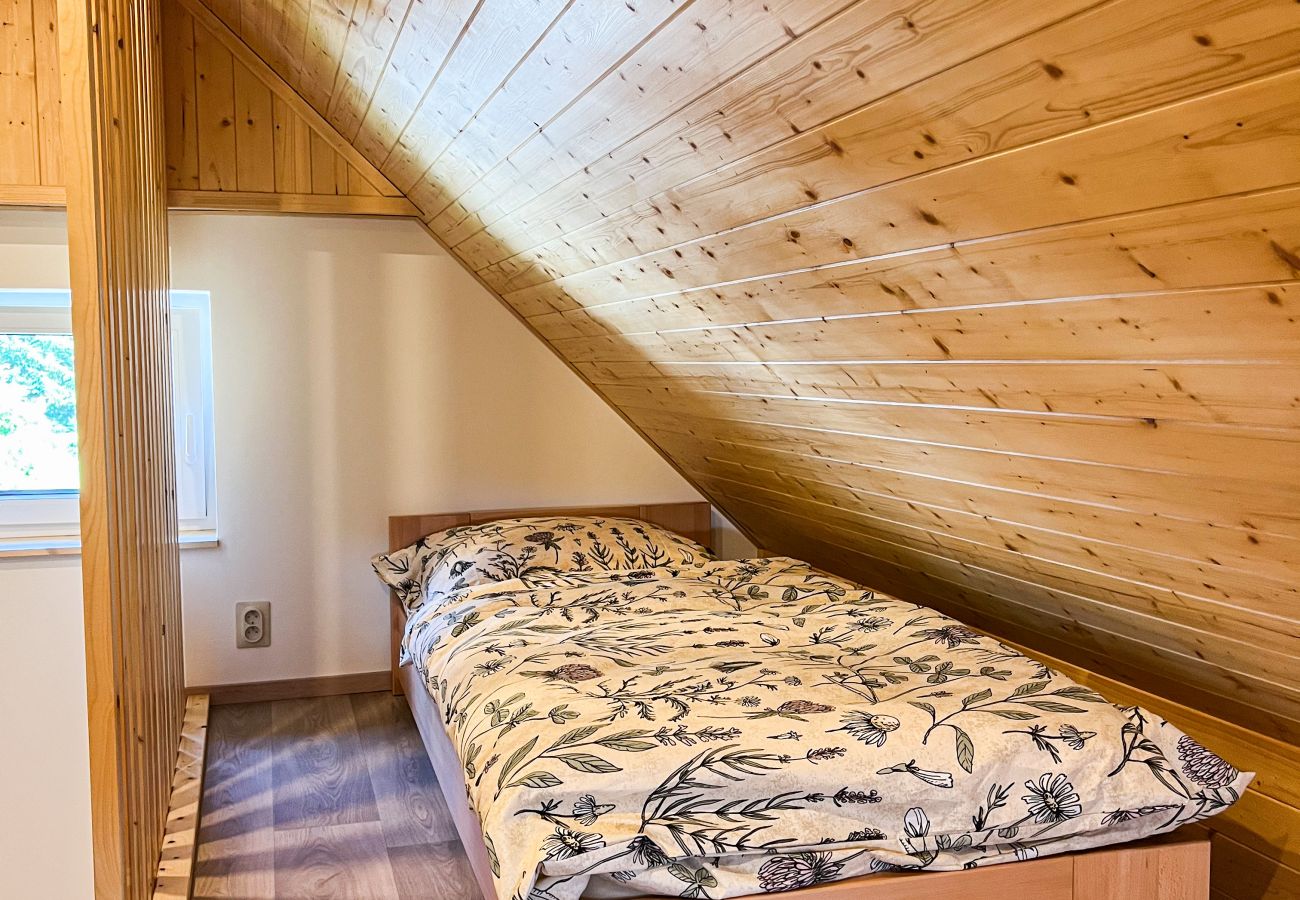 Villa in Dolní Podluží - NDW445 