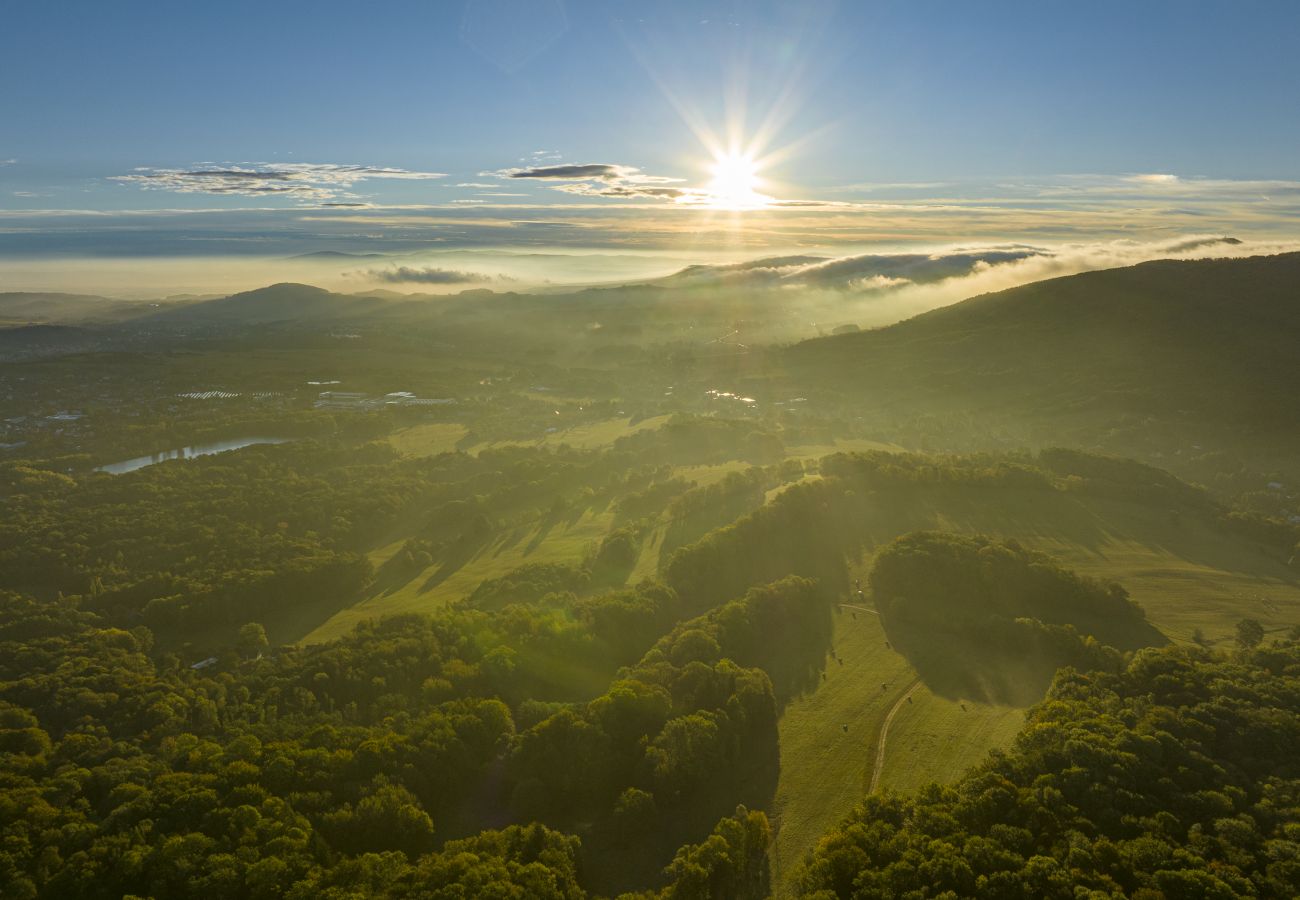 Villa in Dolní Podluží - NDW445 