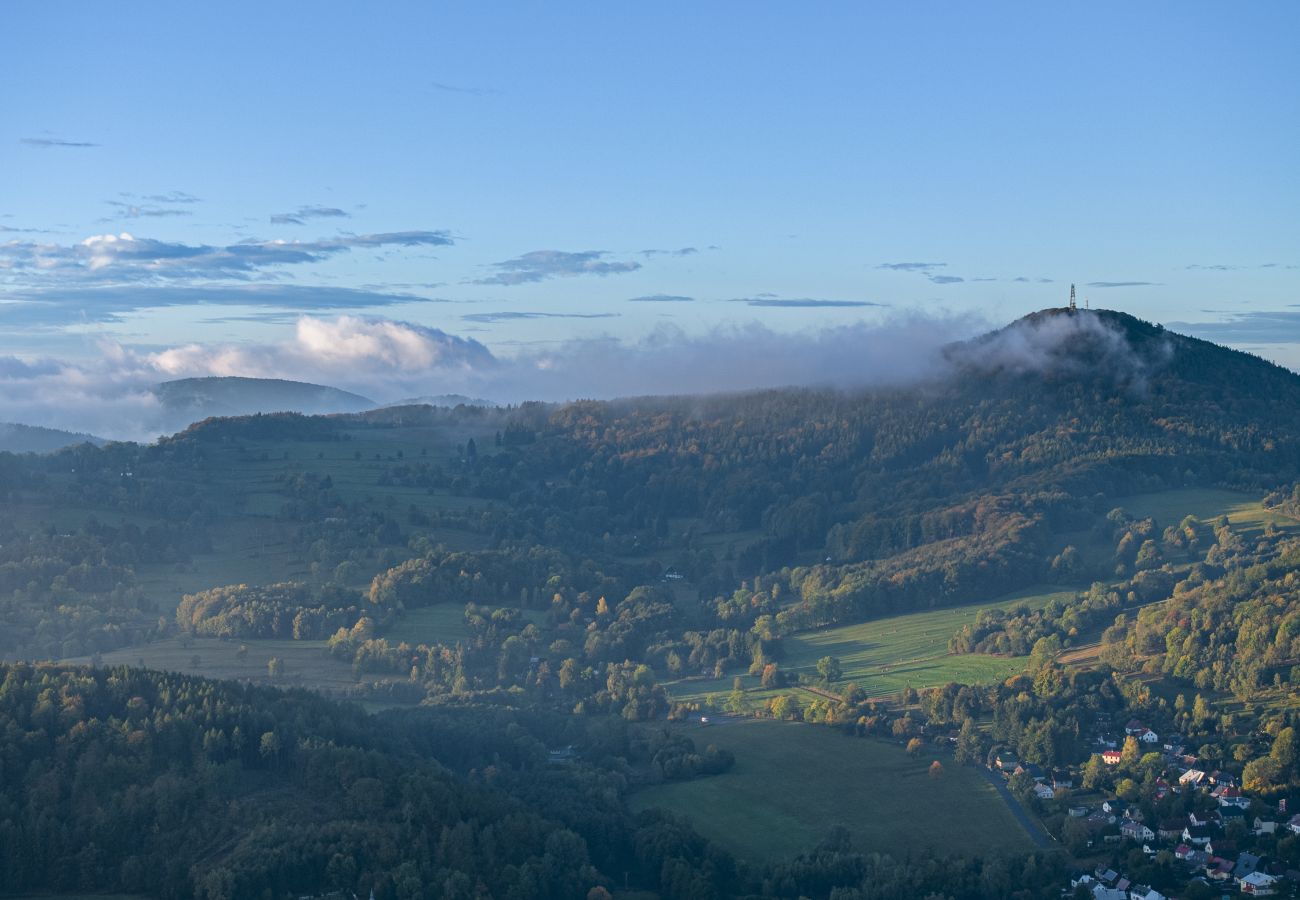 Villa in Dolní Podluží - NDW445 