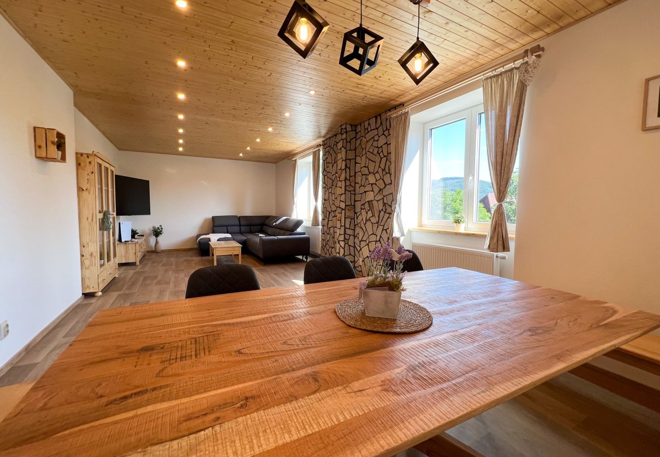 Villa in Dolní Podluží - NDW445 