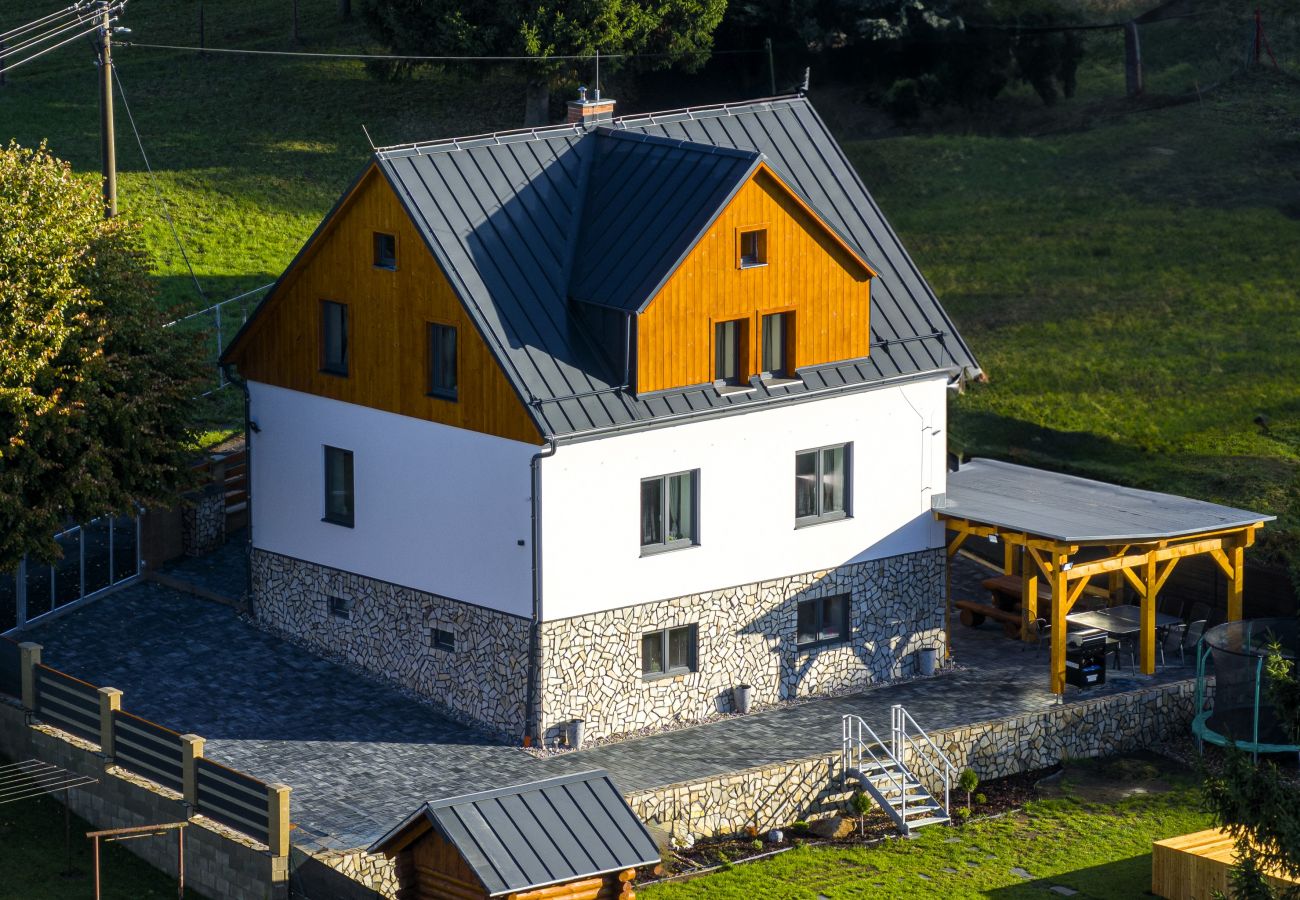 Villa in Dolní Podluží - NDW445 