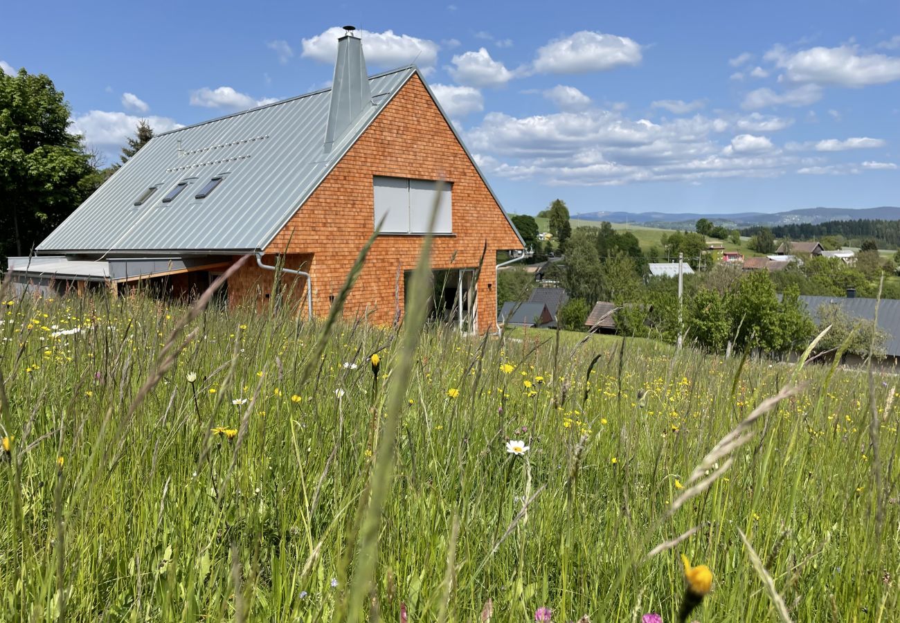 Villa in Roprachtice - LRO127