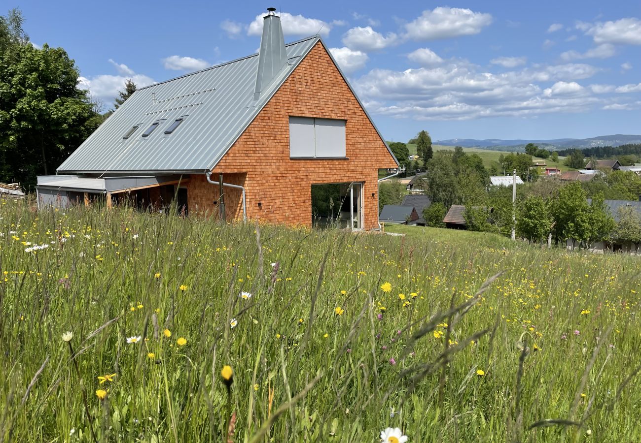 Villa in Roprachtice - LRO127