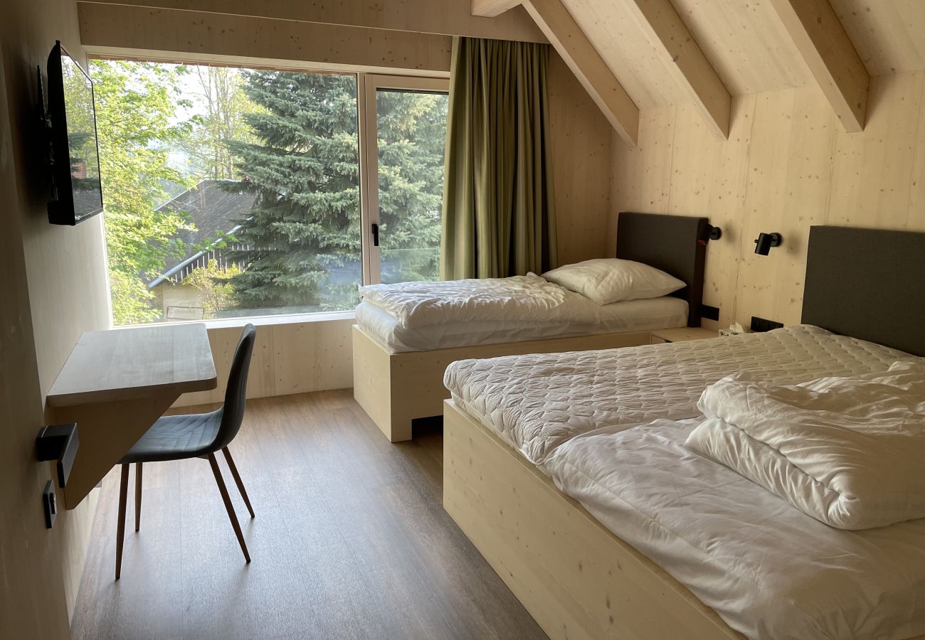 Villa in Roprachtice - LRO127