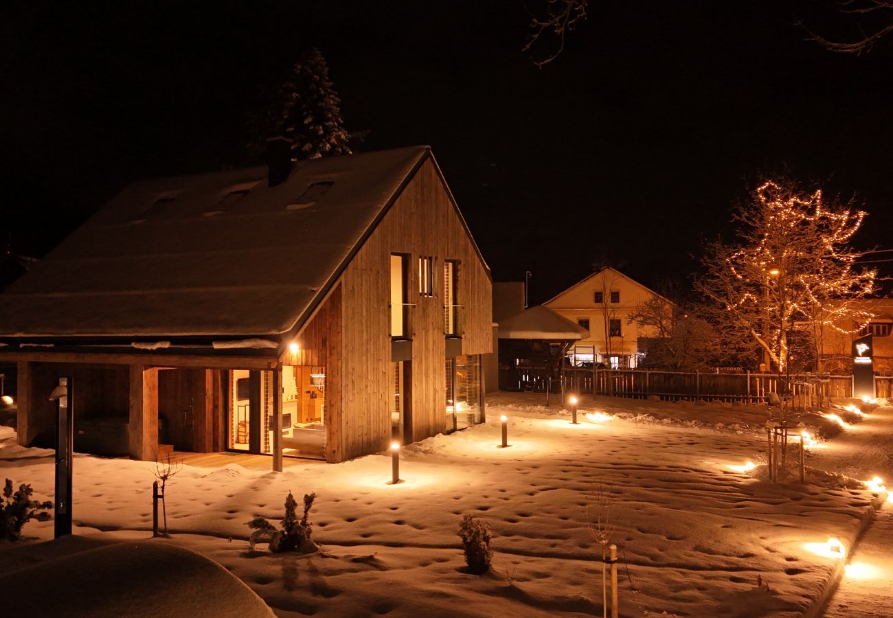 Villa in Cerný Dul - KCMV115 