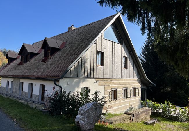 Villa in Tanvald - LSH141 