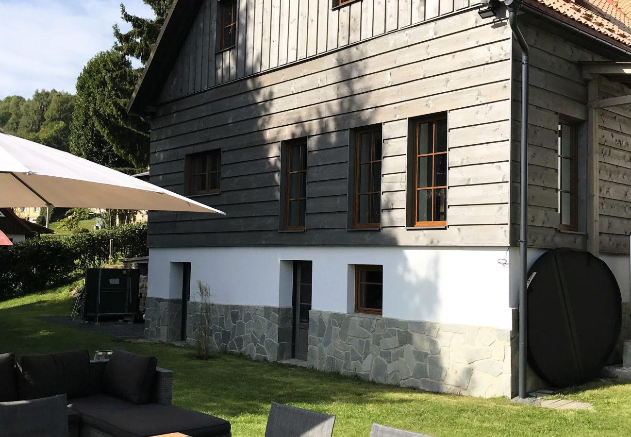 Villa in Tanvald - LSH141 
