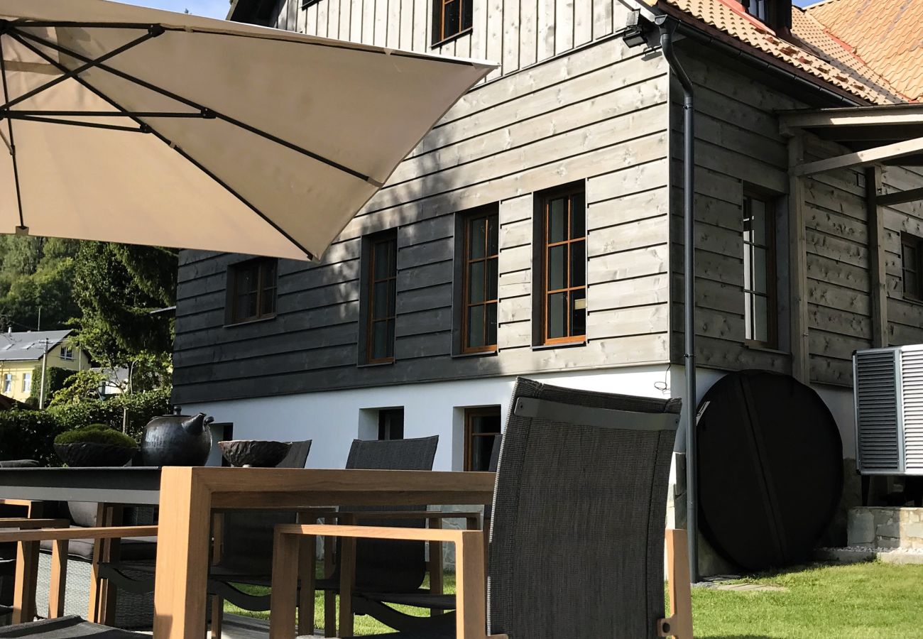 Villa in Tanvald - LSH141 