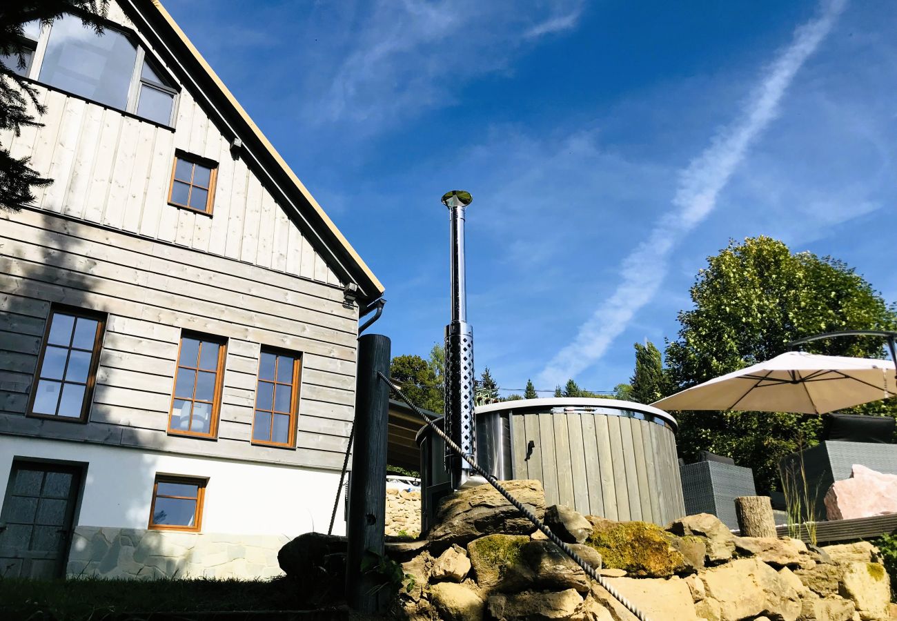 Villa in Tanvald - LSH141 