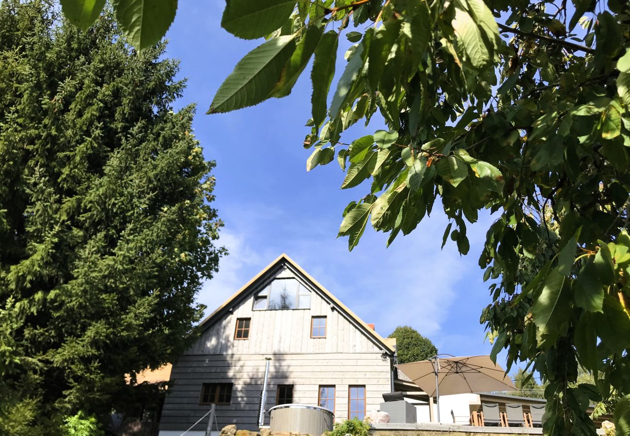 Villa in Tanvald - LSH141 