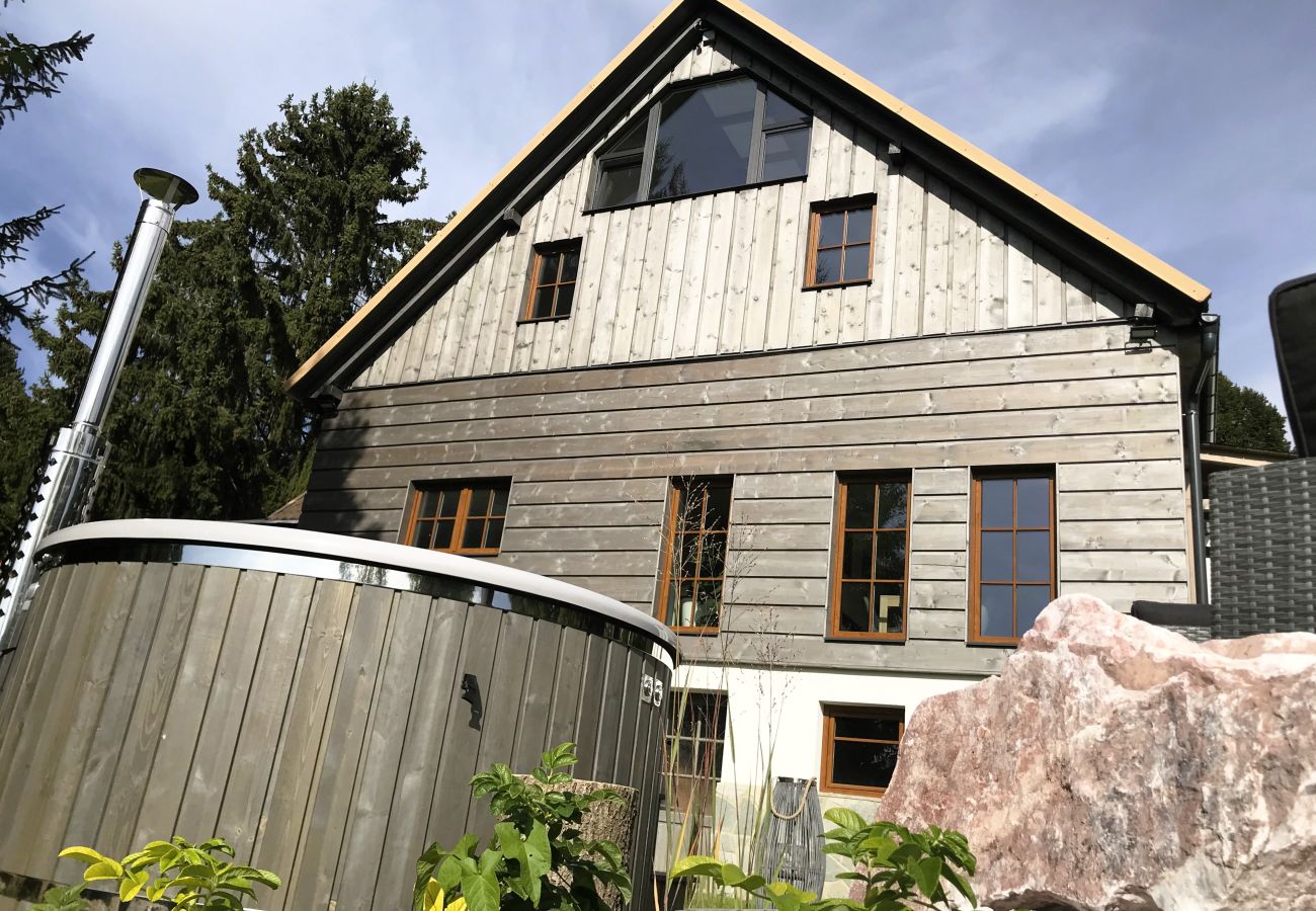 Villa in Tanvald - LSH141 