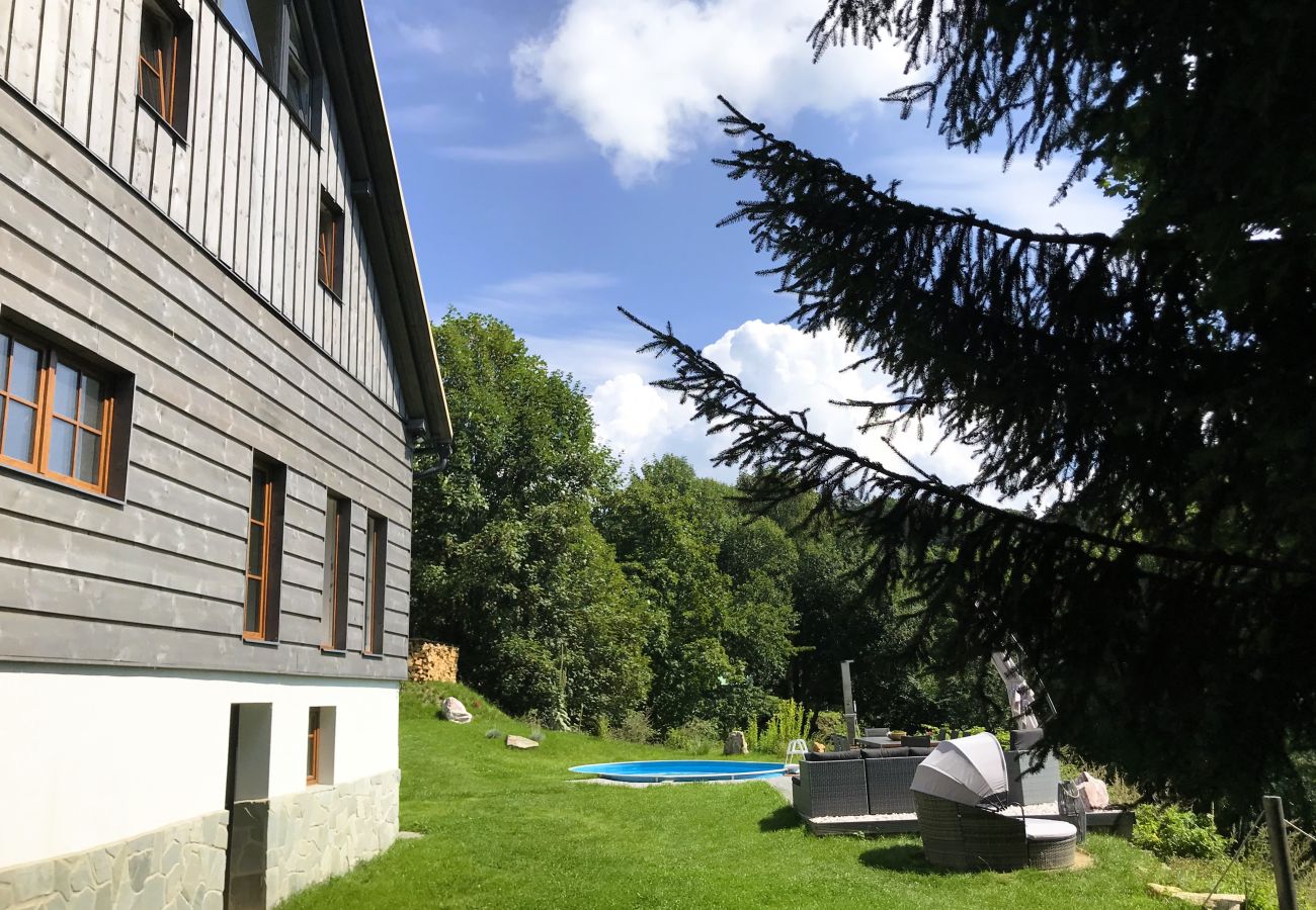 Villa in Tanvald - LSH141 