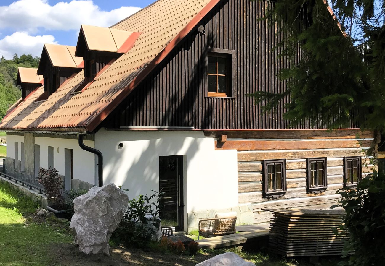 Villa in Tanvald - LSH141 