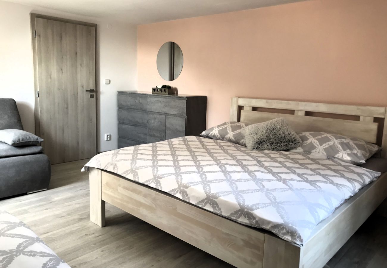 Villa in Tanvald - LSH141 