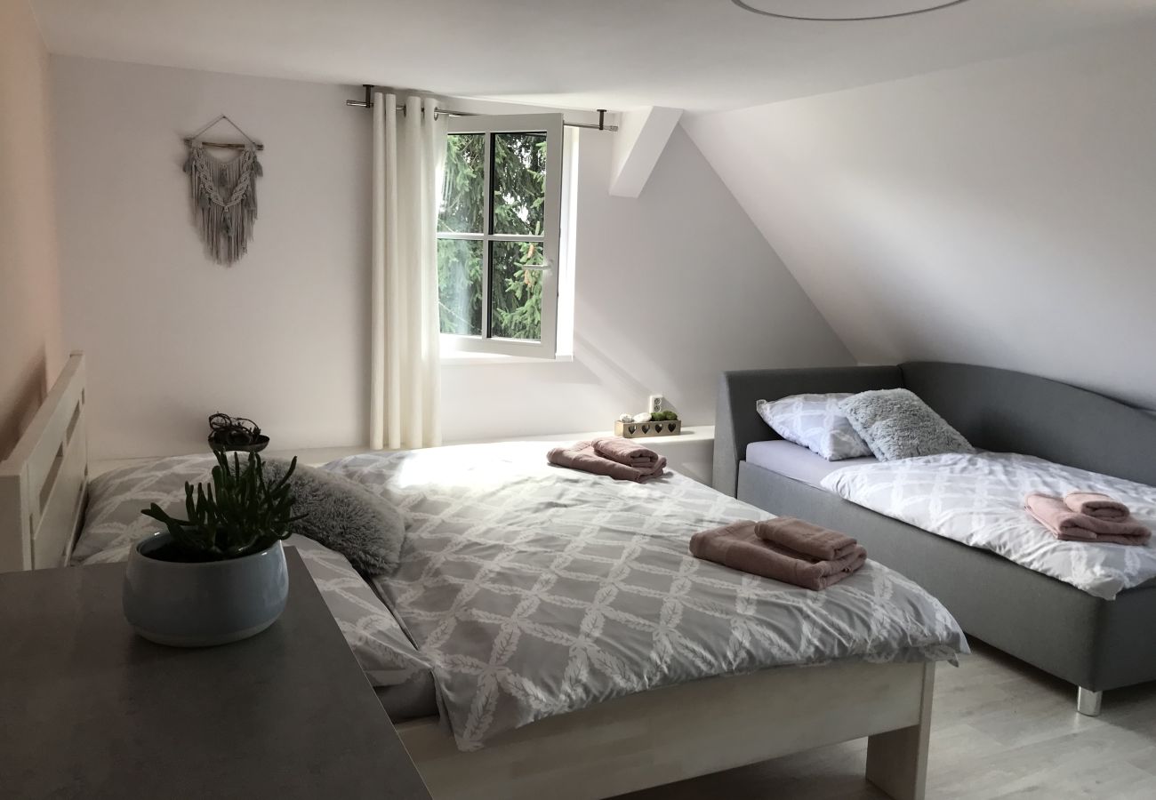 Villa in Tanvald - LSH141 