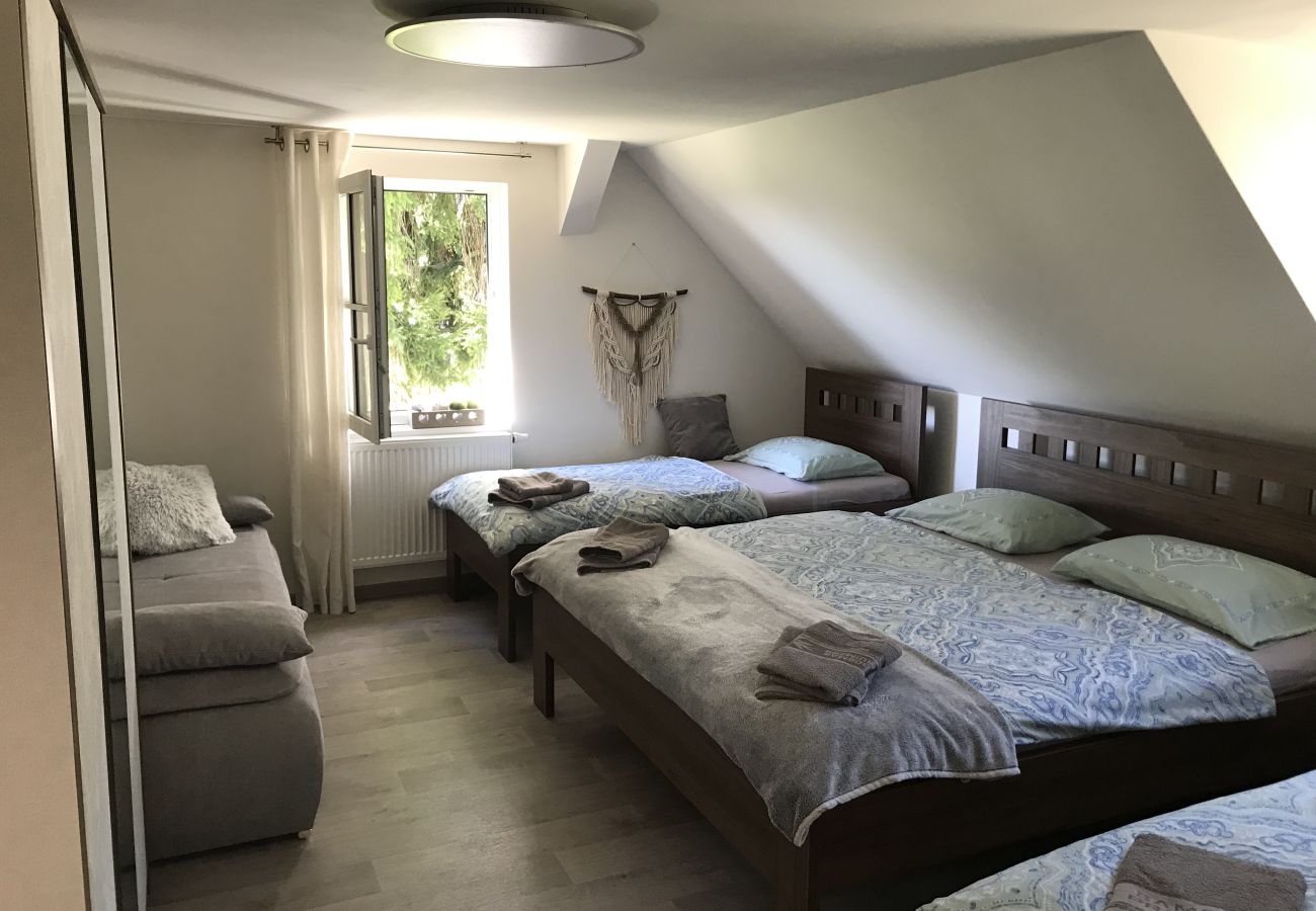 Villa in Tanvald - LSH141 