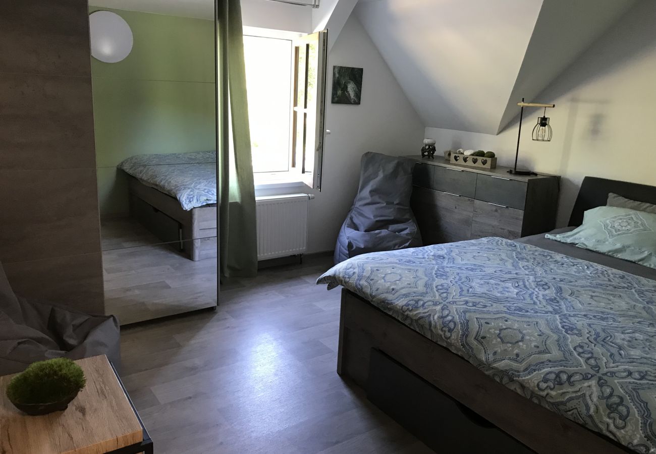 Villa in Tanvald - LSH141 