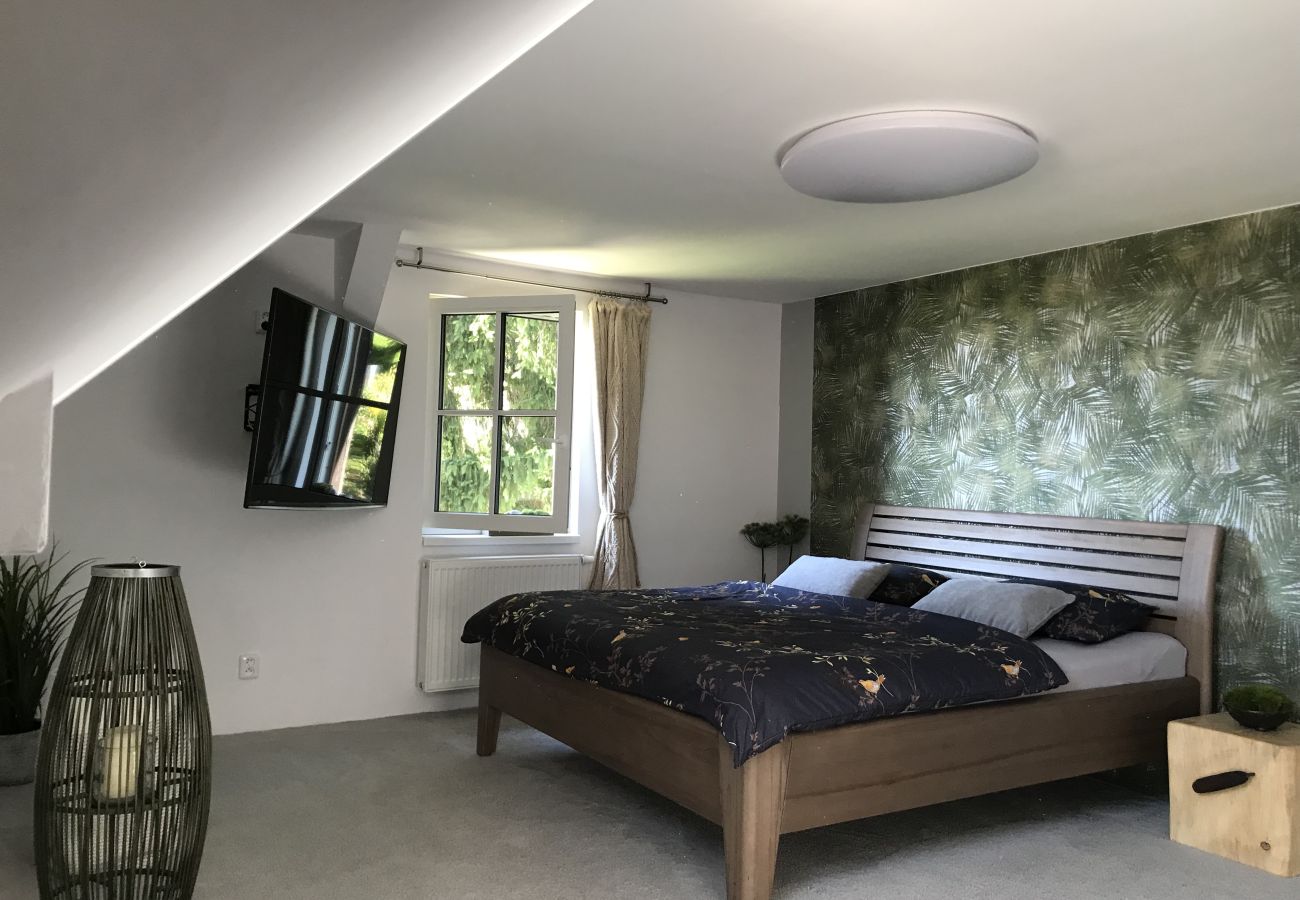 Villa in Tanvald - LSH141 