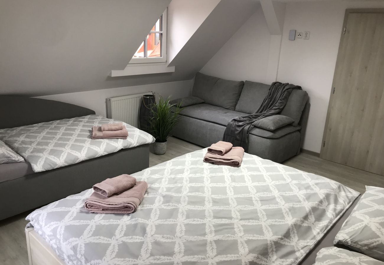 Villa in Tanvald - LSH141 