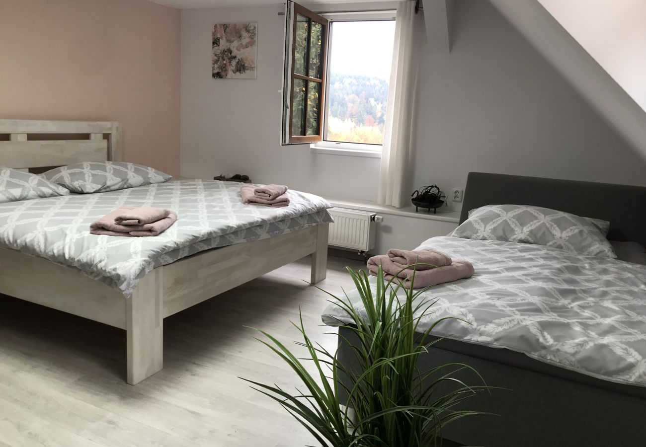 Villa in Tanvald - LSH141 