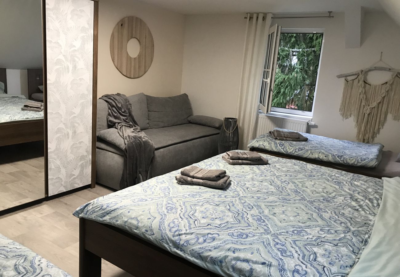 Villa in Tanvald - LSH141 