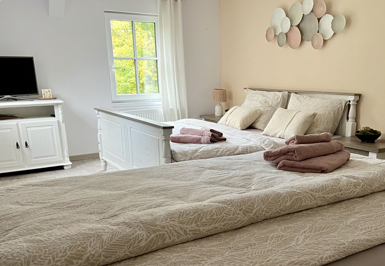 Villa in Tanvald - LSH141 