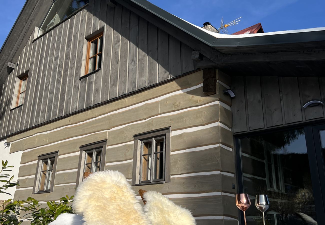 Villa in Tanvald - LSH141 